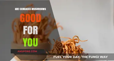 Cordyceps Mushrooms: Unlocking Health Benefits and Nutritional Power