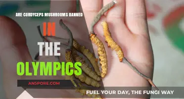 Are Cordyceps Mushrooms Banned in Olympic Competitions?