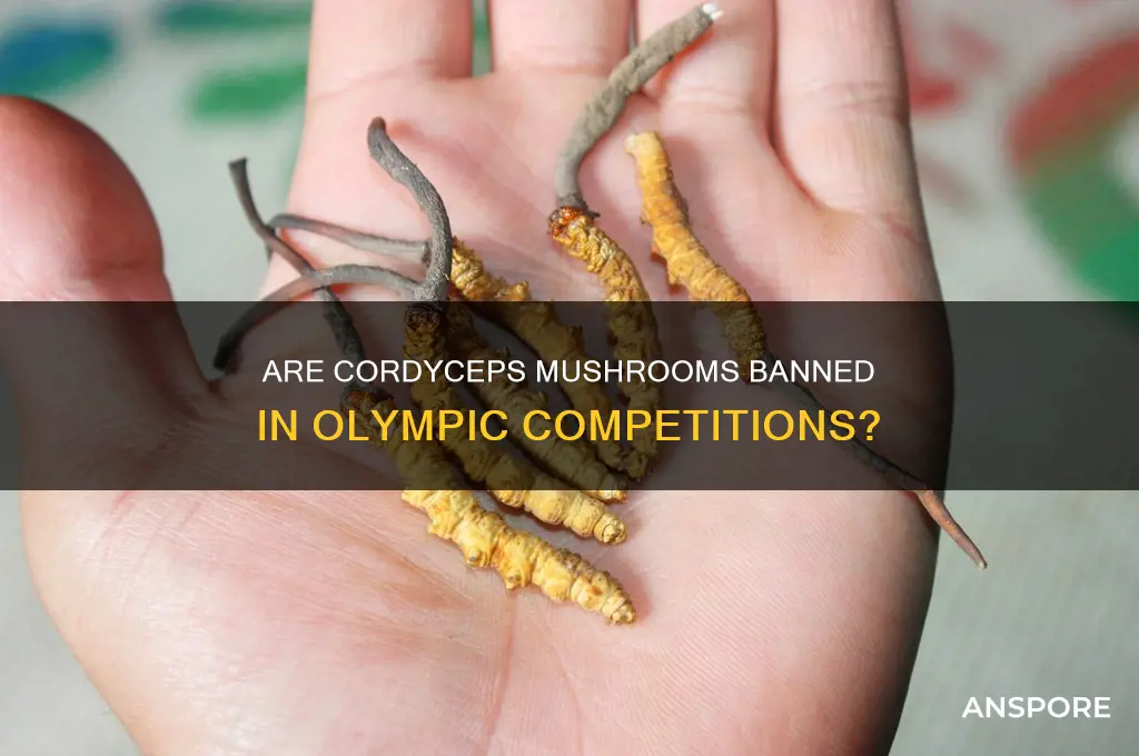 are cordyceps mushrooms banned in the olympics