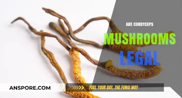 Are Cordyceps Mushrooms Legal? Exploring Their Legal Status Worldwide