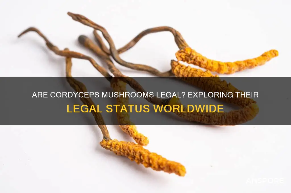 are cordyceps mushrooms legal