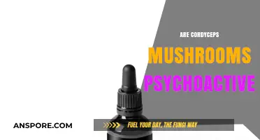 Cordyceps Mushrooms: A Psychoactive Experience?