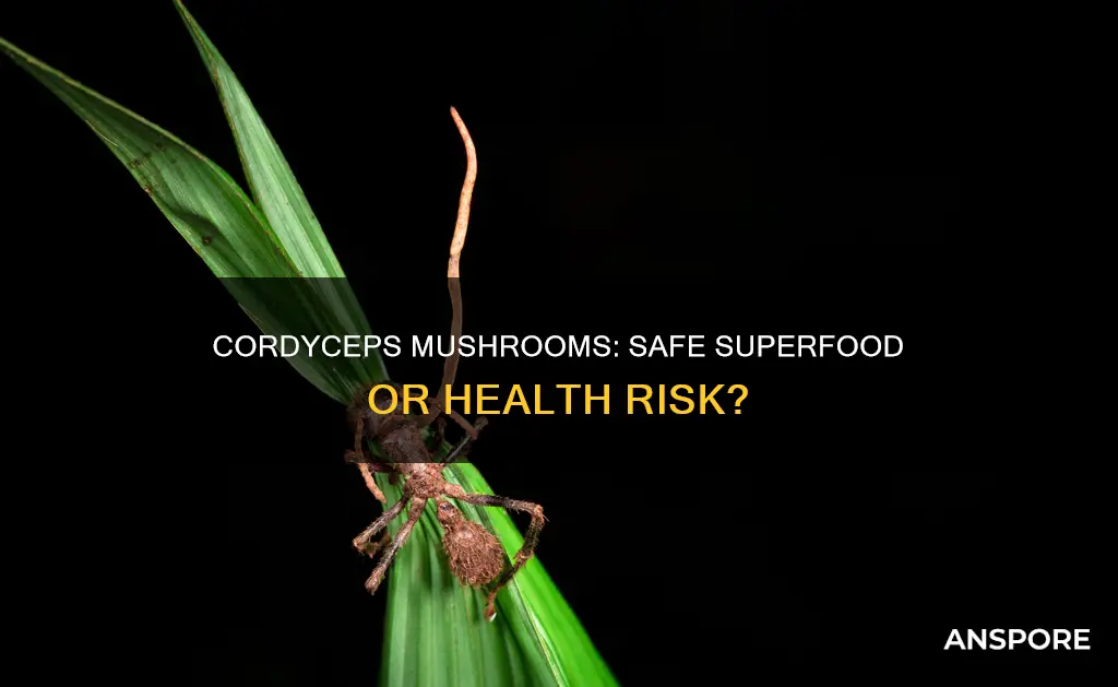 are cordyceps mushrooms safe