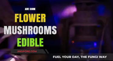 Are Corn Flower Mushrooms Edible? A Comprehensive Guide to Safety