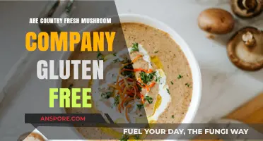 Are Country Fresh Mushroom Products Gluten-Free? A Comprehensive Guide