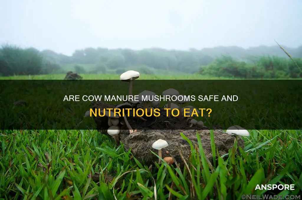 are cow manure mushrooms good