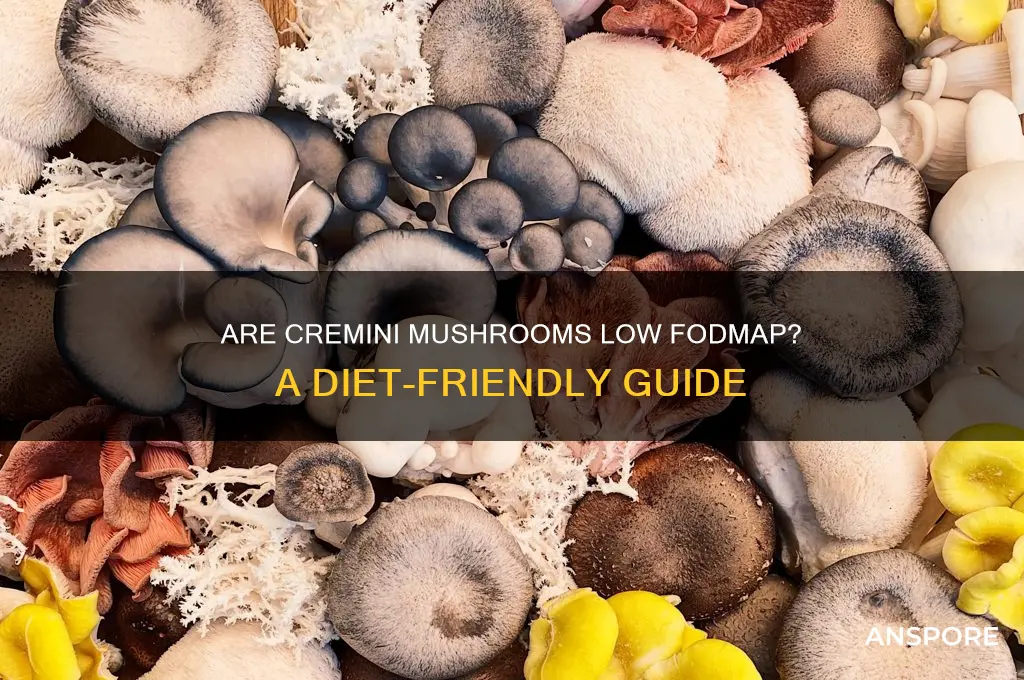 are cremi i mushrooms low fodmap