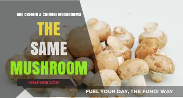 Cremini vs. Crimini Mushrooms: Unraveling the Mystery of Their Identity