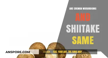 Cremini vs. Shiitake: Are These Mushrooms the Same or Different?