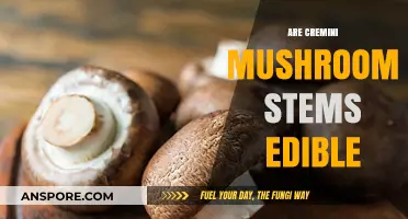Can You Eat Cremini Mushroom Stems? A Tasty Guide