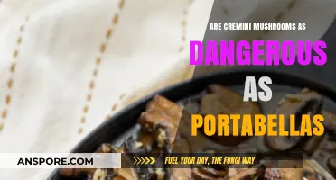Cremini vs. Portabella: Unveiling the Truth About Mushroom Safety