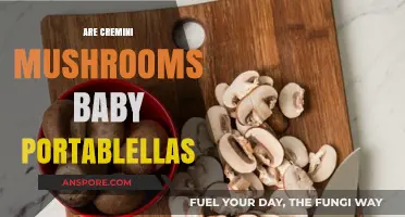 Cremini Mushrooms: Baby Portobellos or Not?