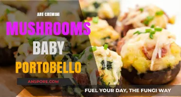 Cremini Mushrooms vs. Baby Portobello: Are They the Same?