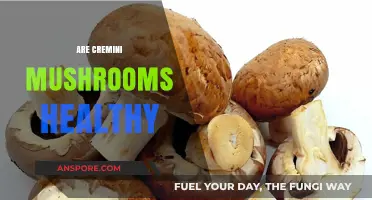 Cremini Mushrooms: Healthy Superfood or Not?