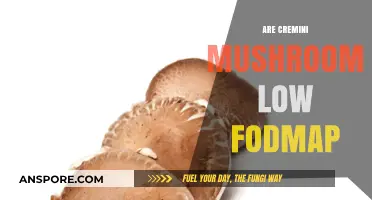 Cremini Mushrooms: Low FODMAP Superfood?