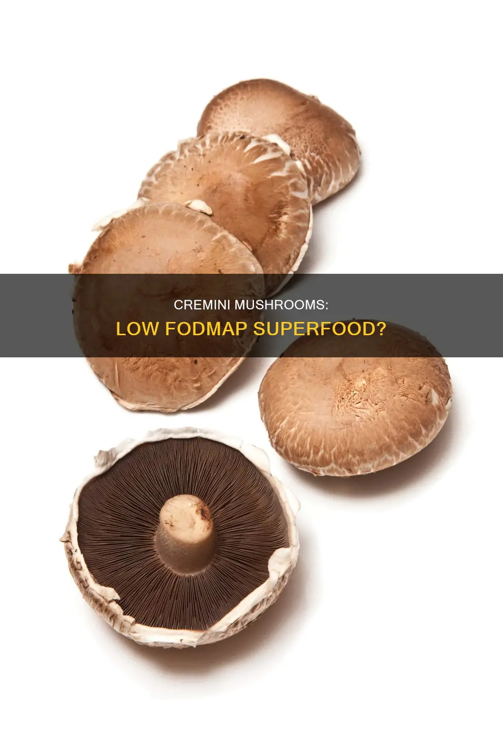 are cremini mushrooms low fodmap