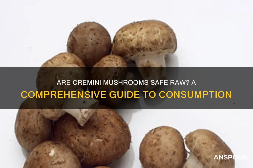 are cremini mushrooms safe to eat raw