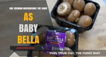 Cremini vs Baby Bella: Unveiling the Mushroom Mystery
