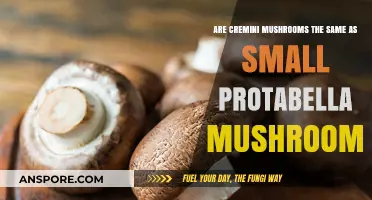 Cremini vs. Small Portabella Mushrooms: Unveiling the Tasty Truth