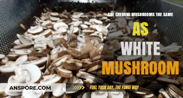 Cremini vs. White Mushrooms: Unraveling the Fungal Family Mystery