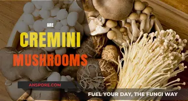 Cremini Mushrooms: What's the Deal?