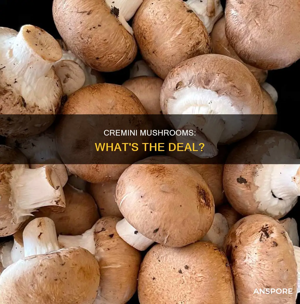 are cremini mushrooms