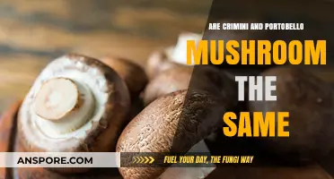 Crimini vs. Portobello: Unveiling the Truth Behind These Mushroom Varieties