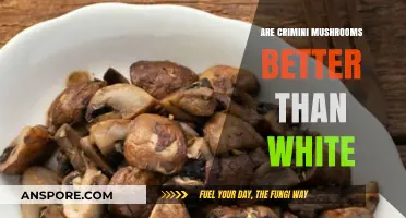 Crimini vs. White Mushrooms: Which One Tops Your Culinary Choice?