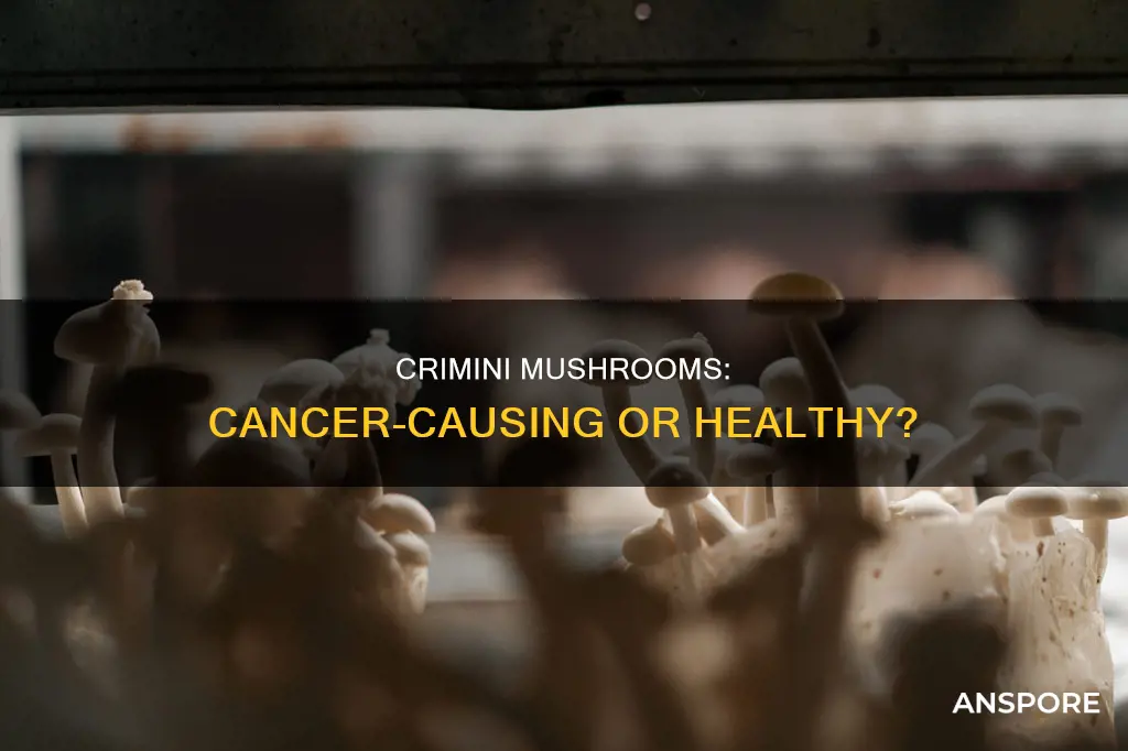 are crimini mushrooms carcinogenic