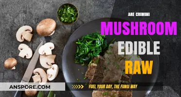 Can You Eat Crimini Mushrooms Raw? A Safety Guide