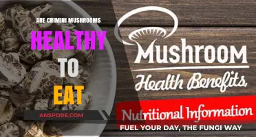 Crimini Mushrooms: Unveiling Their Nutritional Benefits and Health Impact