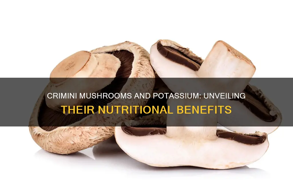 are crimini mushrooms high in potassium
