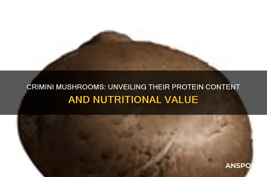 are crimini mushrooms high in protein