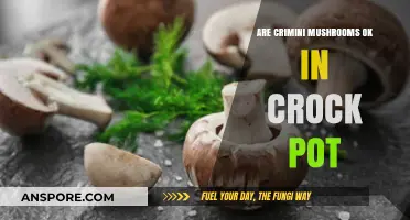 Crock Pot Cooking: Are Crimini Mushrooms Safe and Delicious?