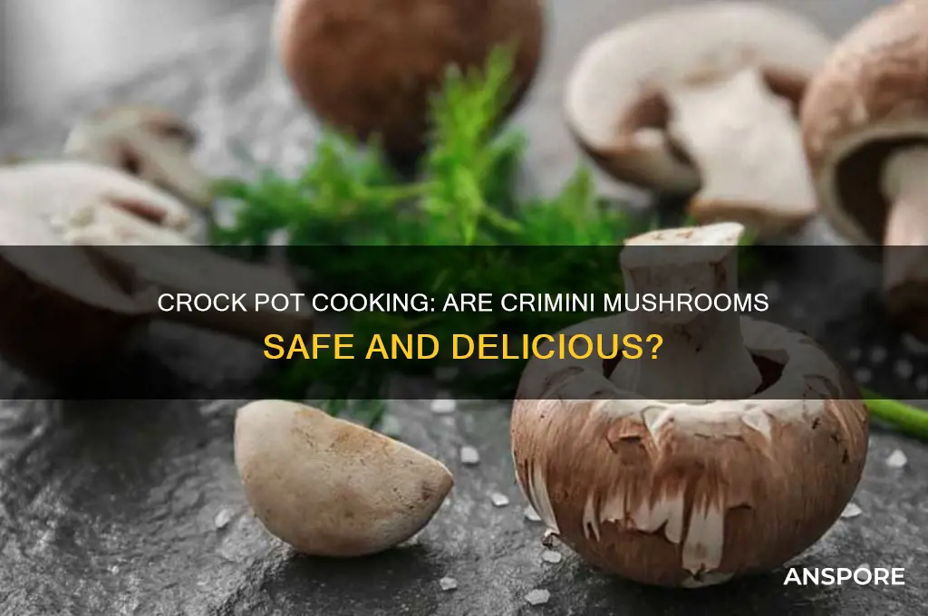 are crimini mushrooms ok in crock pot