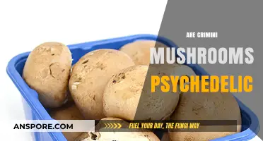 Crimini Mushrooms: A Psychedelic Trip?