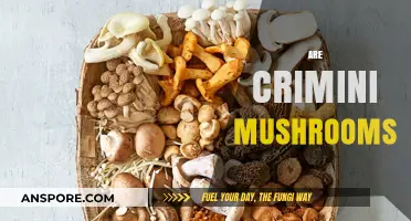 Crimini Mushrooms: Superfood or Super-risk?