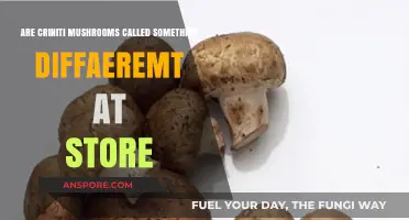 Criniti Mushrooms: Unveiling Their Alternative Store Names and Why They Differ