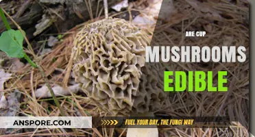 Are Cup Mushrooms Edible? A Guide to Safe Identification and Consumption
