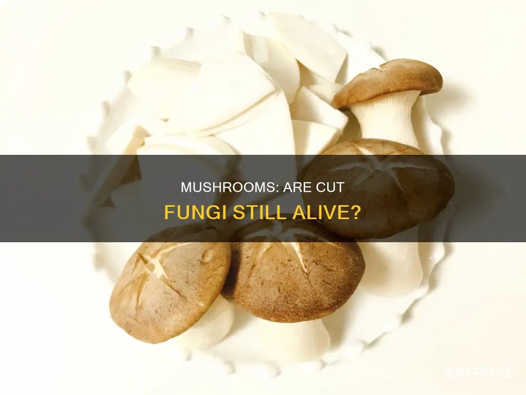 are cut mushrooms alive