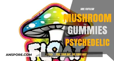 Psychedelic Cutleaf Mushroom Gummies: A Trippy Treat?