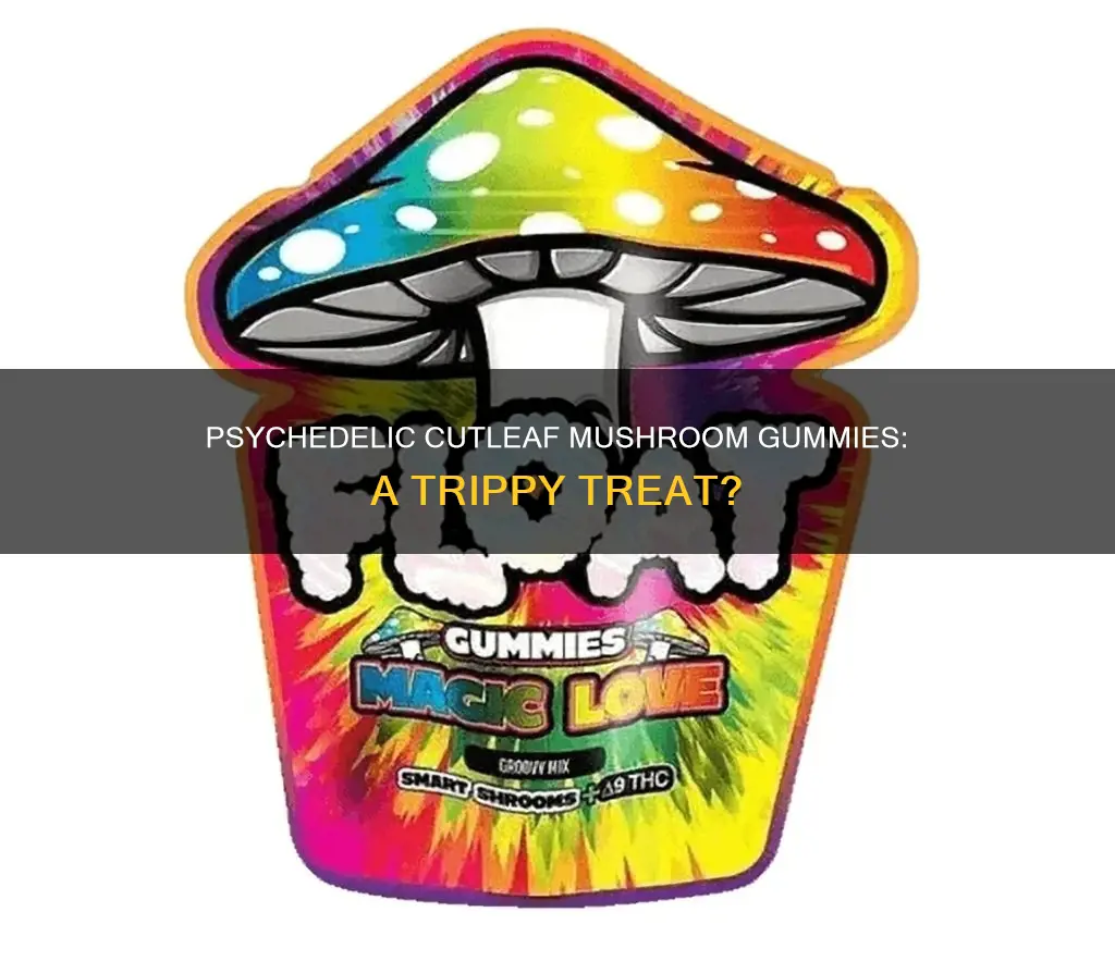 are cutleaf mushroom gummies psychedelic