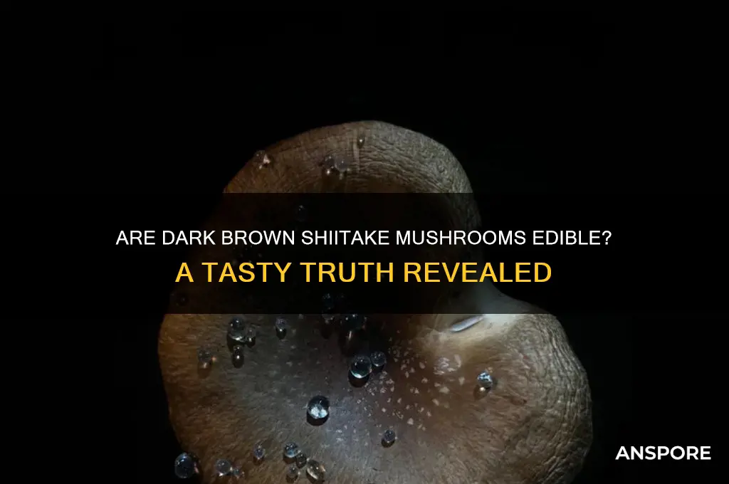 are dark brown shitake mushrooms edible