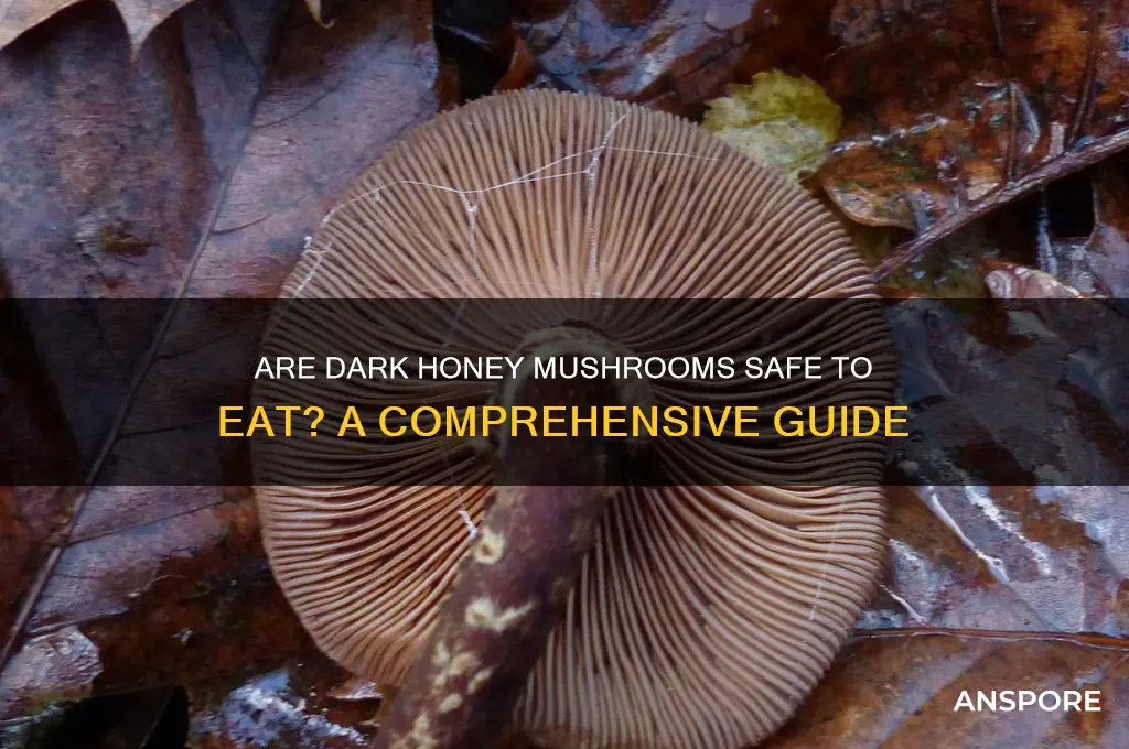 are dark honey mushrooms edible