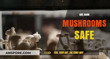 Dark Mushrooms: Are They Safe to Eat?