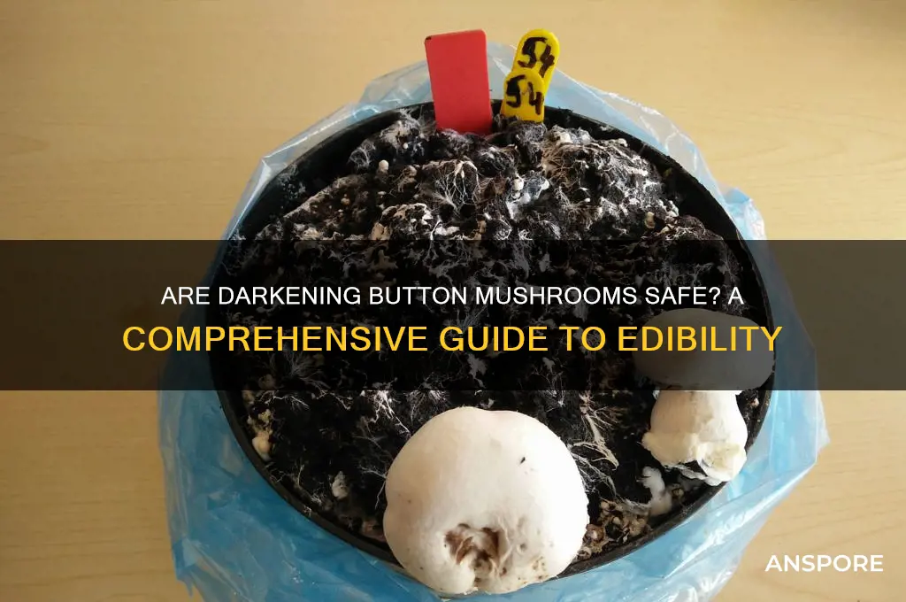 are darkening button mushrooms safe to eat