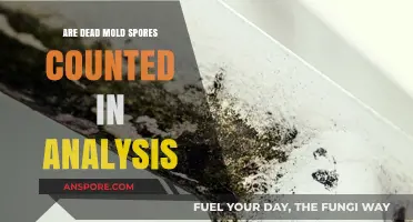 Do Dead Mold Spores Impact Analysis Results? A Detailed Look