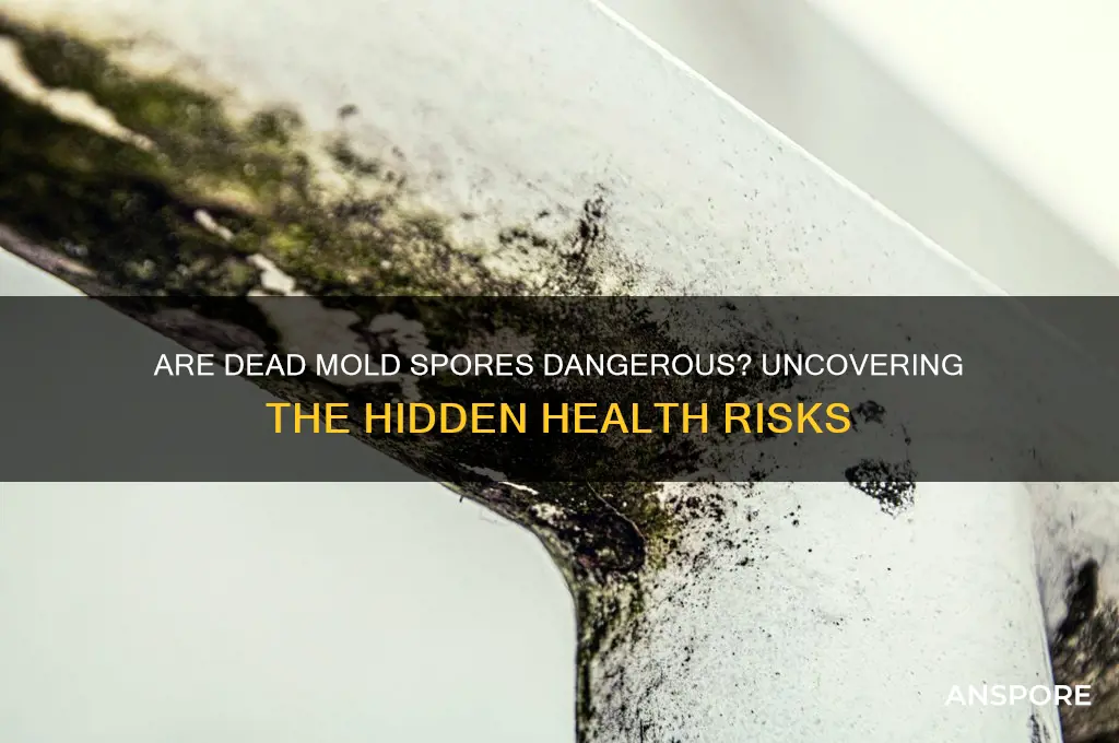 are dead mold spores dangerous