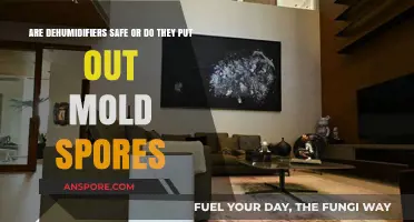 Dehumidifiers and Mold: Safe Air Solution or Spore Spreader?