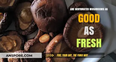 Dehydrated vs. Fresh Mushrooms: Which Offers Superior Flavor and Nutrition?